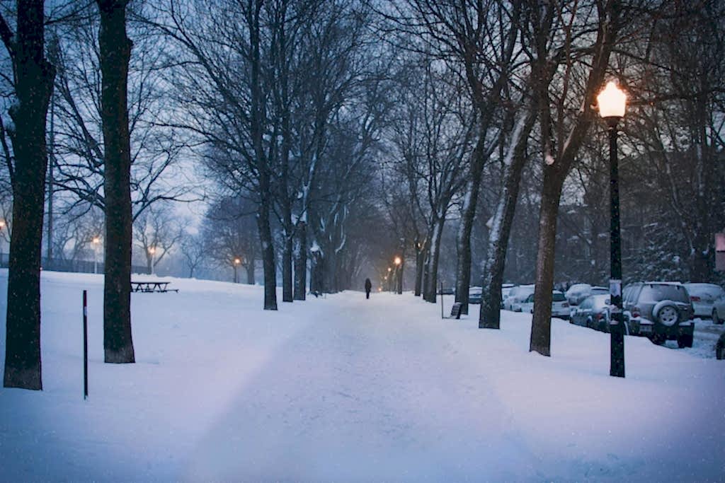 snöskottning umeå